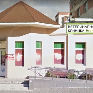 Электросталь белый кот