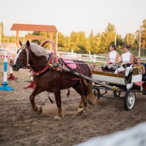 Фото от владельца Сосновый бор, усадьба