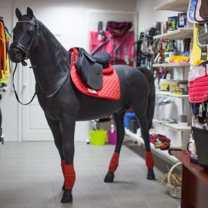 Фото от владельца Конюшня Макларен, магазин товаров для конного спорта