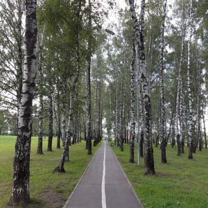 Фото от владельца Пролетарский, парк культуры и отдыха