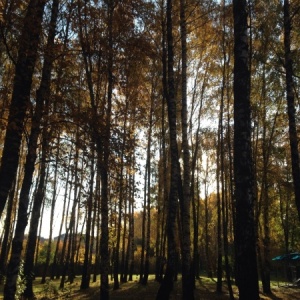 Фото от владельца Комсомольский, парк культуры и отдыха