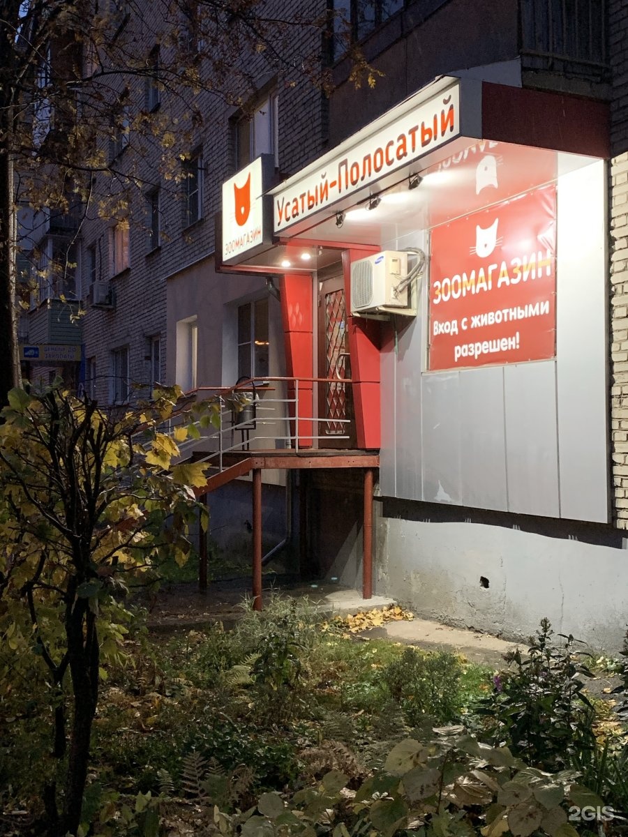 Усатый полосатый зоомагазин тула. Усатый полосатый зоомагазин Тула Колетвинова. Усатый полосатый зоомагазин Тула Оборонная. Зоомагазин Фрунзе