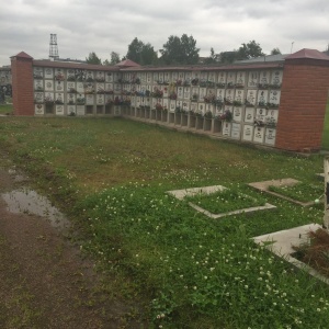 Фото от владельца Городское кладбище животных, ООО, ритуальная компания для животных