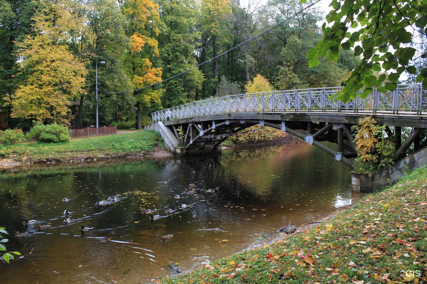 Парк кирова санкт петербург