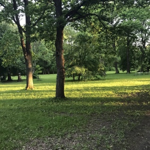 Фото от владельца Центральный парк культуры и отдыха им. С.М. Кирова