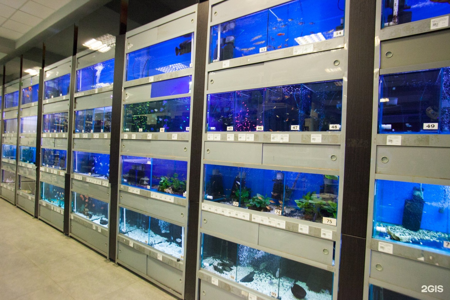 аквариум санкт петербург