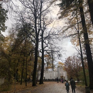 Фото от владельца Центральный парк культуры и отдыха им. С.М. Кирова