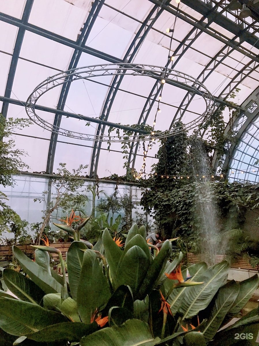 Таврический сад оранжерея