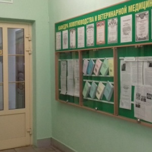 Фото от владельца Алтайский институт повышения квалификации руководителей и специалистов АПК