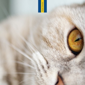 Фото от владельца Husse, интернет-магазин шведского корма для собак и кошек