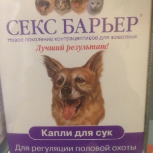 Фото от владельца Калининградский центр ветеринарной медицины доктора Муромцева А.Б.