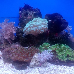 Фото от владельца Музей Мирового океана