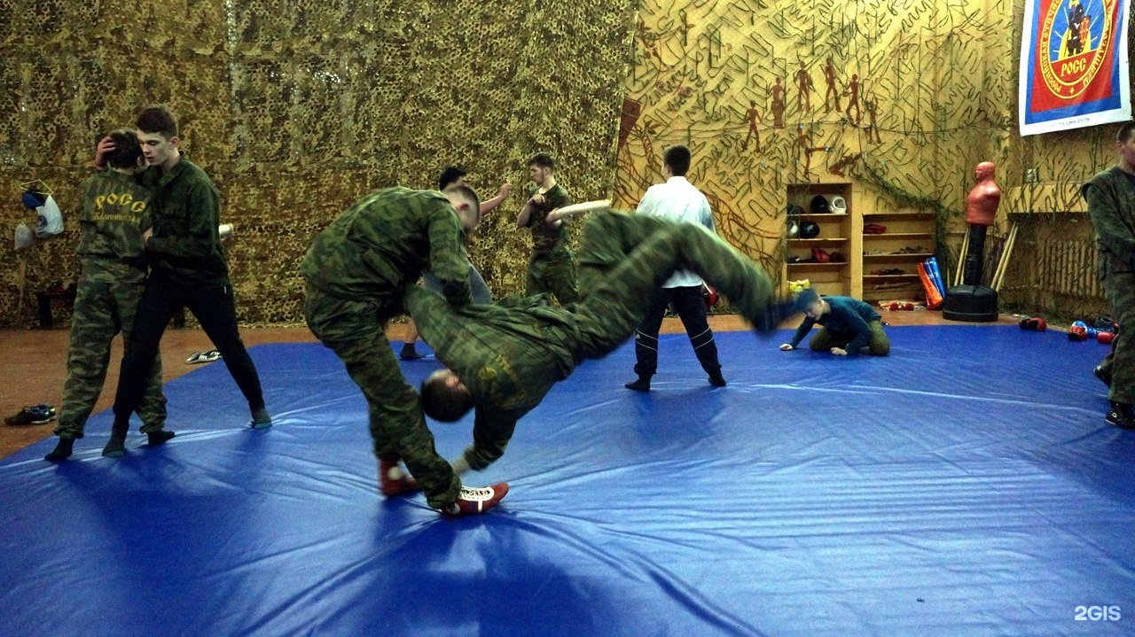 Russian Martial Art Systema