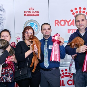 Фото от владельца Royal Canin, торговая компания