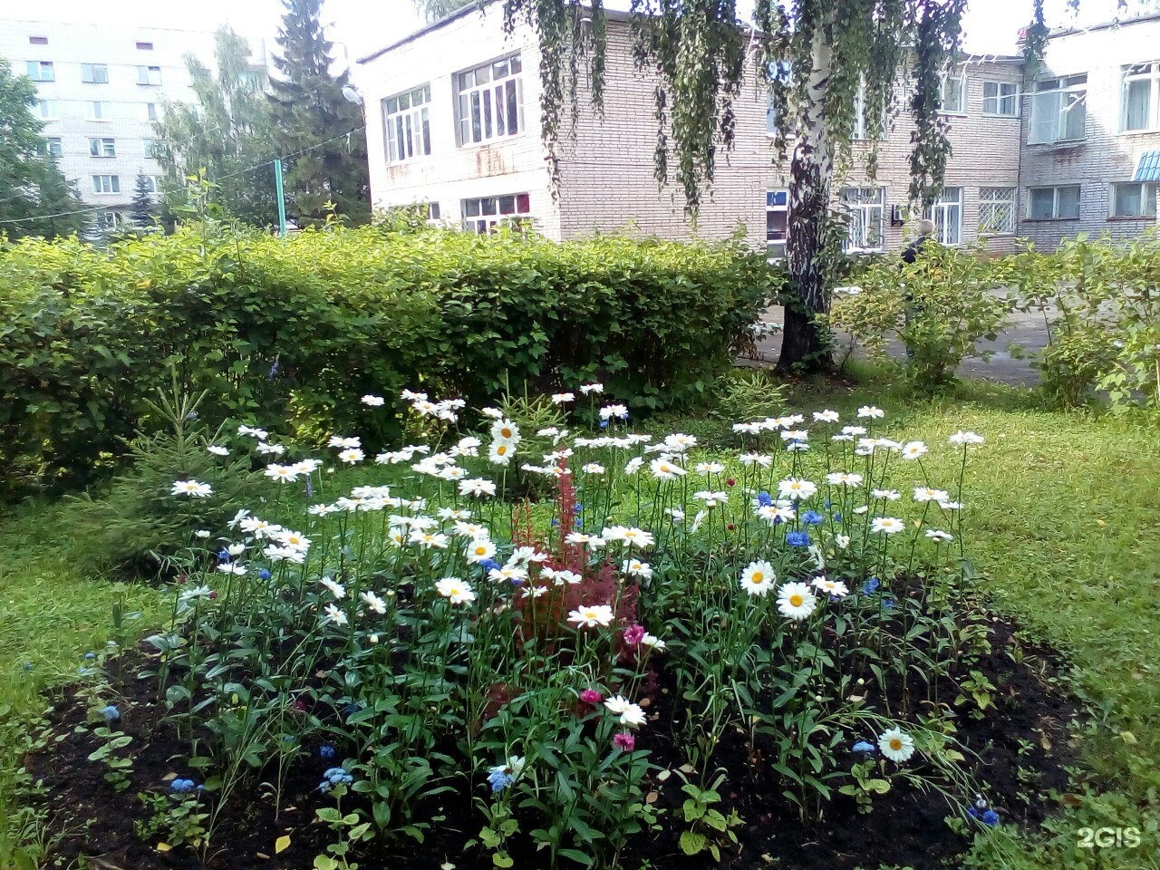 Малышок ижевск. Санаторий Малышок Ижевск. Санаторий Малышок в Ижевске Машиностроителей 111. Санаторий Малышок Иваново.