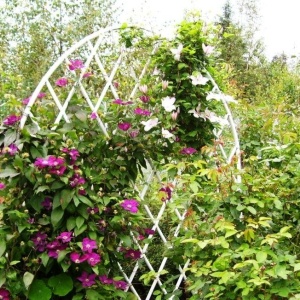 Фото от владельца Ваш прекрасный сад, студия ландшафтного дизайна