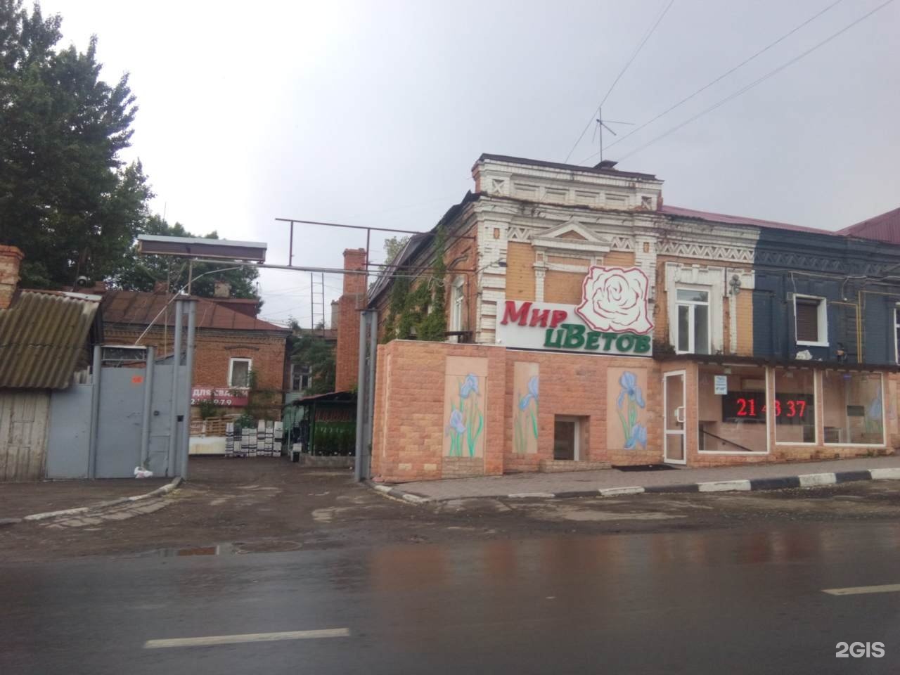 Оптовка цветов саратов вольская соколовая
