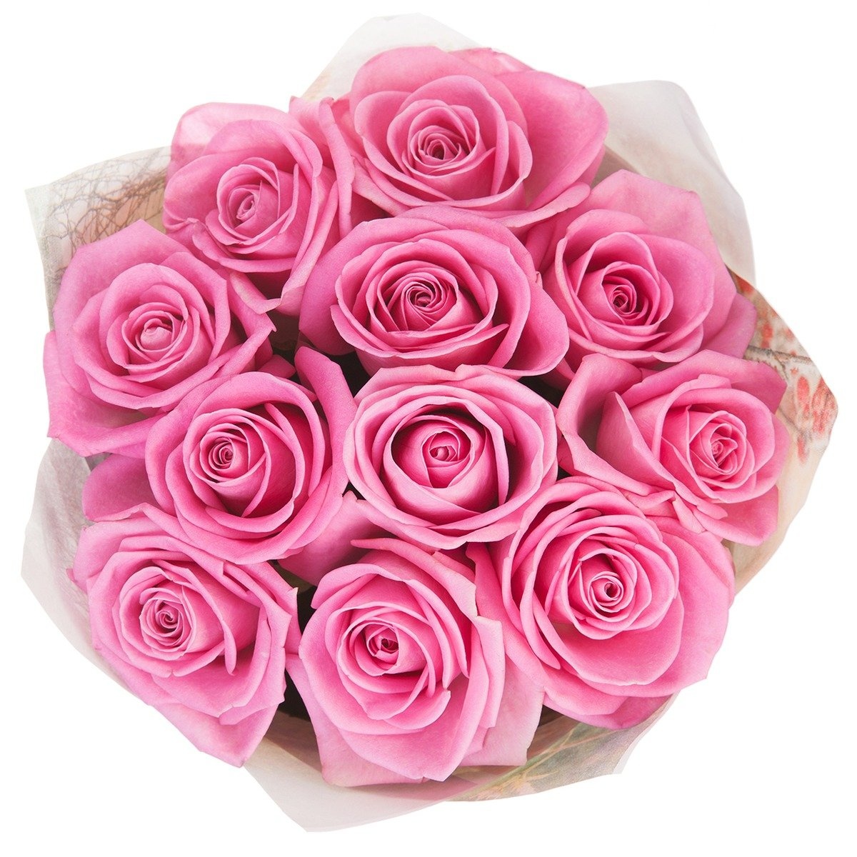 Букет роз 11 штук. Букет из розовых роз. Розовые розы. Букет из 11 розовых роз.