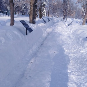 Фото от владельца Городской парк, ООО