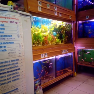 Фото от владельца Твой аквариум, магазин аквариумистики