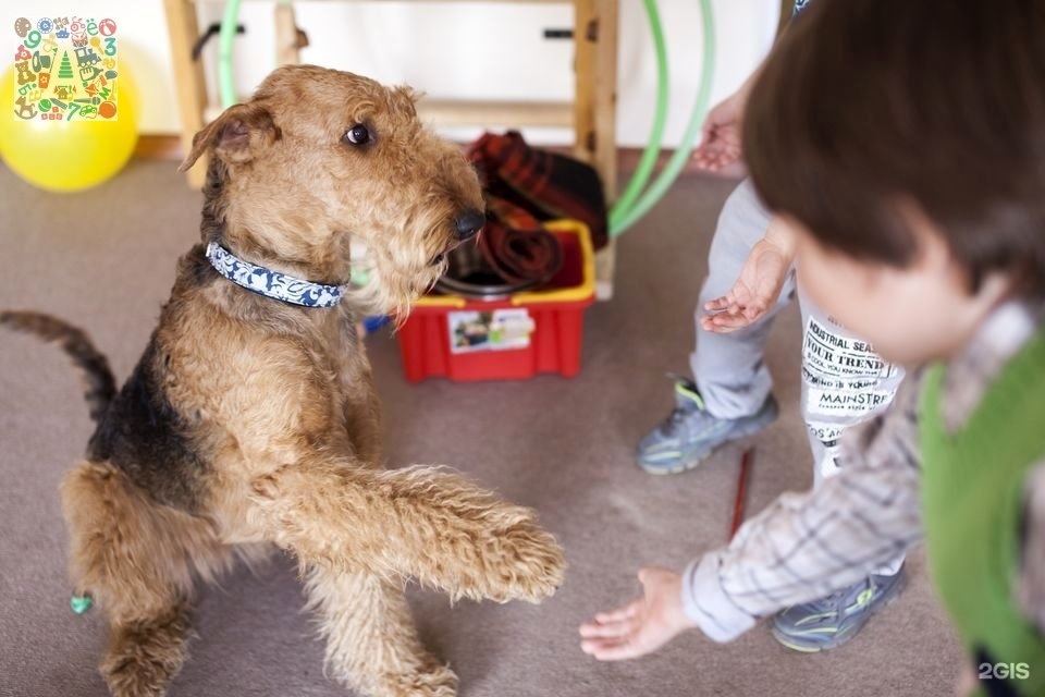 развивающие детей тверь. дети на занятии в детском саду. развивающие детей тверь. языковая зона монтессори. новые дети детский сад тверь.