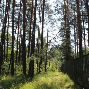 Фото от владельца Княжья речка, загородный комплекс отдыха