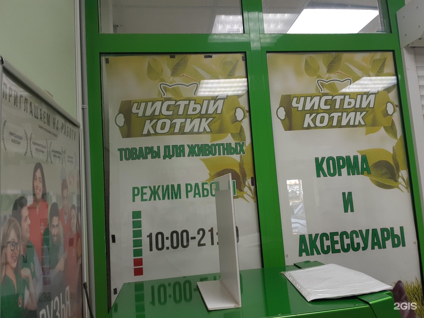 Чистый котик стерлитамак