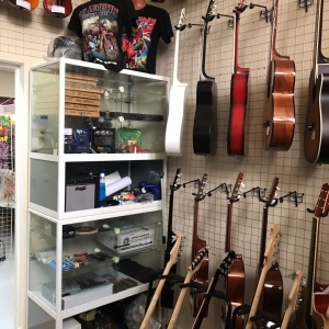 Фото от владельца Музыкальный Транзит, магазин музыкальных инструментов и рок атрибутики