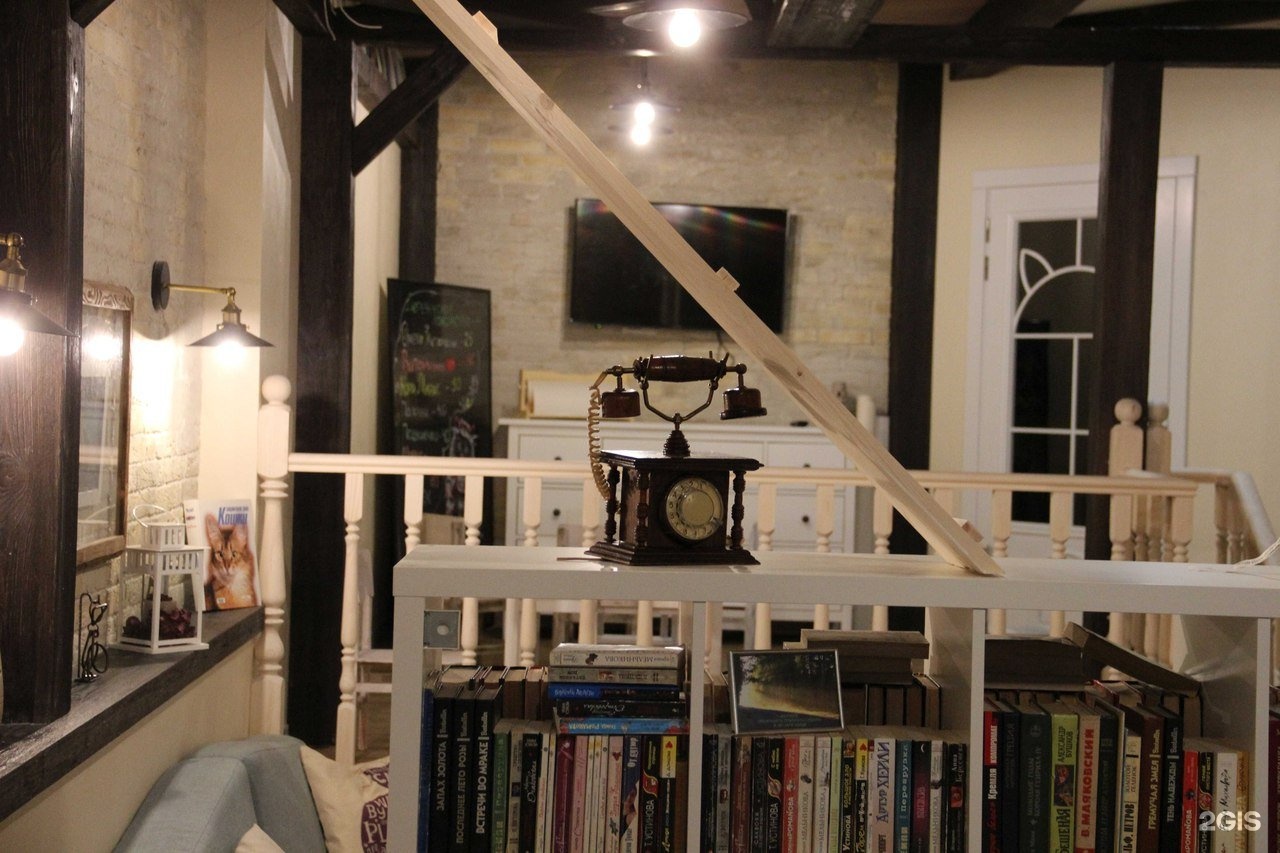 кошачье кафе киров. зоки кэт кафе киров. зоки кафе киров. зоки кафе киров. котокафе зоки киров.