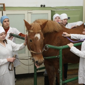 Фото от владельца Вятская государственная сельскохозяйственная академия