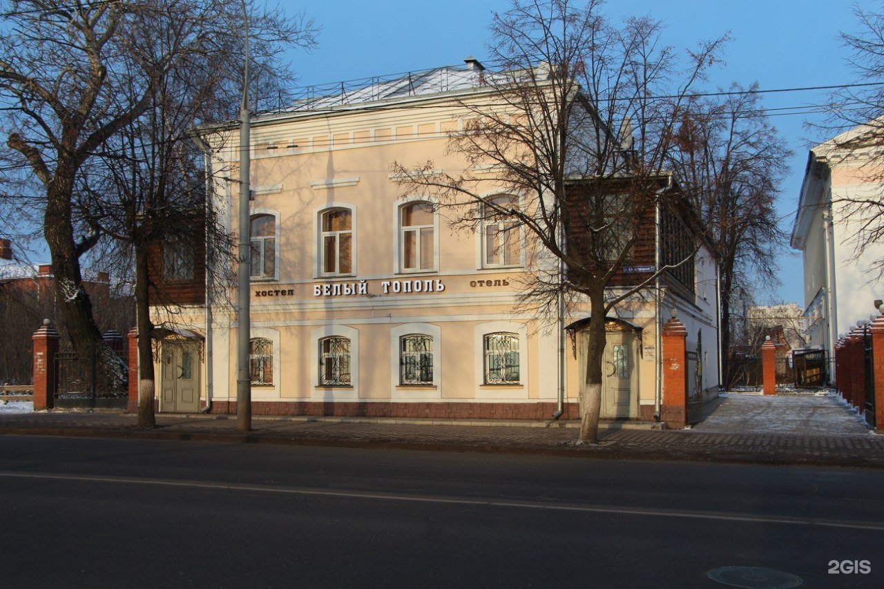 Фото большая нижегородская. Хостел белый Тополь Владимир большая Нижегородская 17. Отель белый Тополь Владимир. Г Владимир хостел 