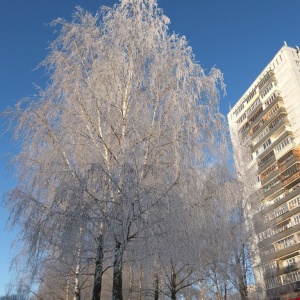 Фото от владельца Дружба, парк культуры и отдыха