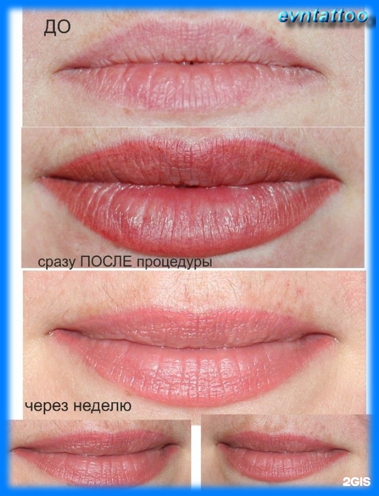 Контур губ отзывы. Перманентный макияж губ с растушевкой до и после заживления. Татуаж губ до и после. Перманентный макияж губ до и после. Губы после перманентного макияжа.