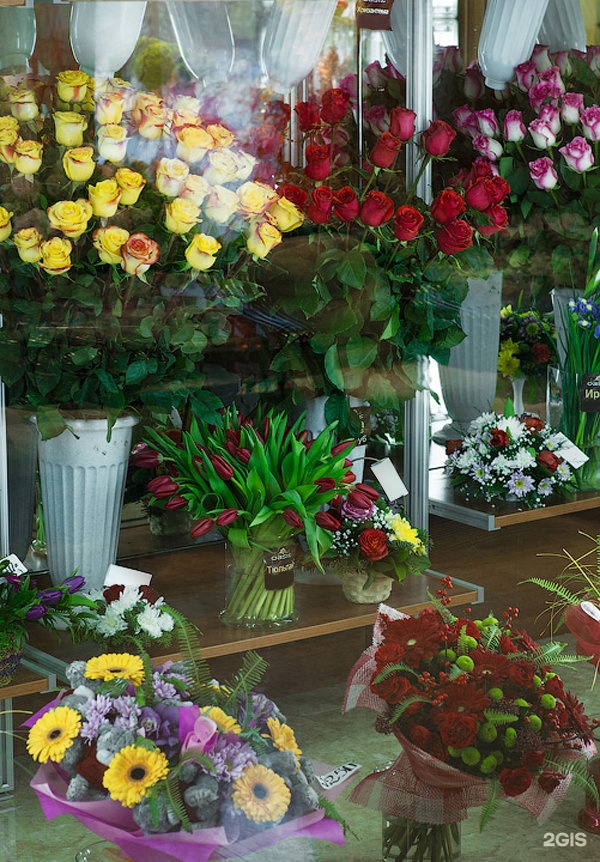 Оазис чита цветы. Цветочный центр Оазис. Цветочные магазины в Чите. Садовый центр Оазис Балашиха.