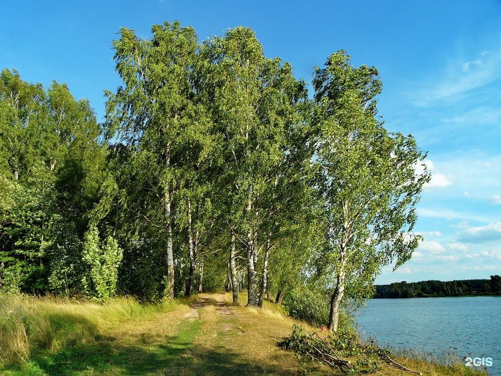 Земля Под Ижс Иваново Купить