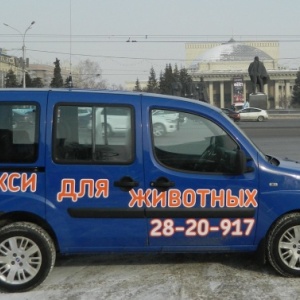 Фото от владельца Красноярск, служба по перевозке животных