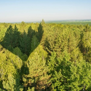 Фото от владельца Бузим, загородный клуб