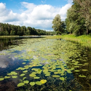 Фото от владельца Росинка, гостиничный комплекс