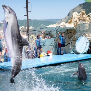 Фото от владельца Анапский дельфинарий на Большом Утрише