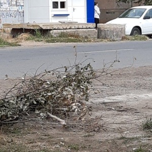 Фото от владельца Сапожок, мастерская по ремонту обуви