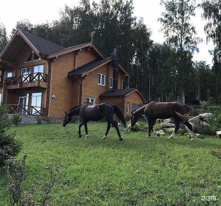 Проект солнечная долина