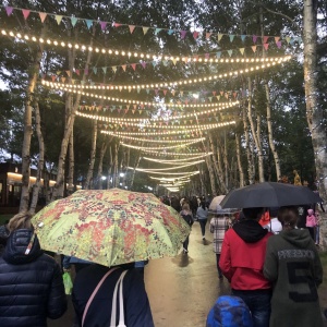 Фото от владельца Городской парк культуры и отдыха им. Ю.А. Гагарина