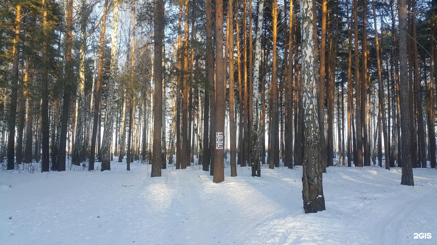 парк в верхней пышме