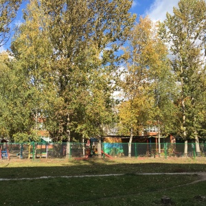 Фото от владельца Ручеёк, детский сад №40 комбинированного вида