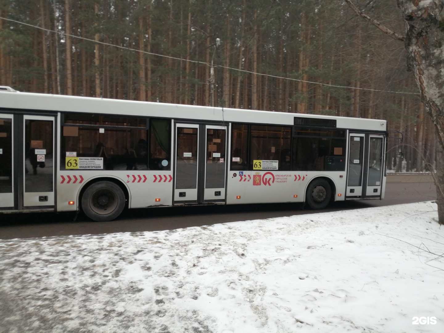 63 автобус маршрут. Автобус 63. Автобус 63 Красноярск. Маршрут 63 автобуса Красноярск. Автобус 63 Омск.