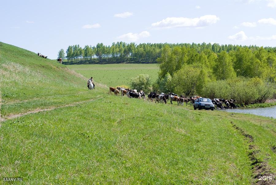 Еловка большемуртинский район карта