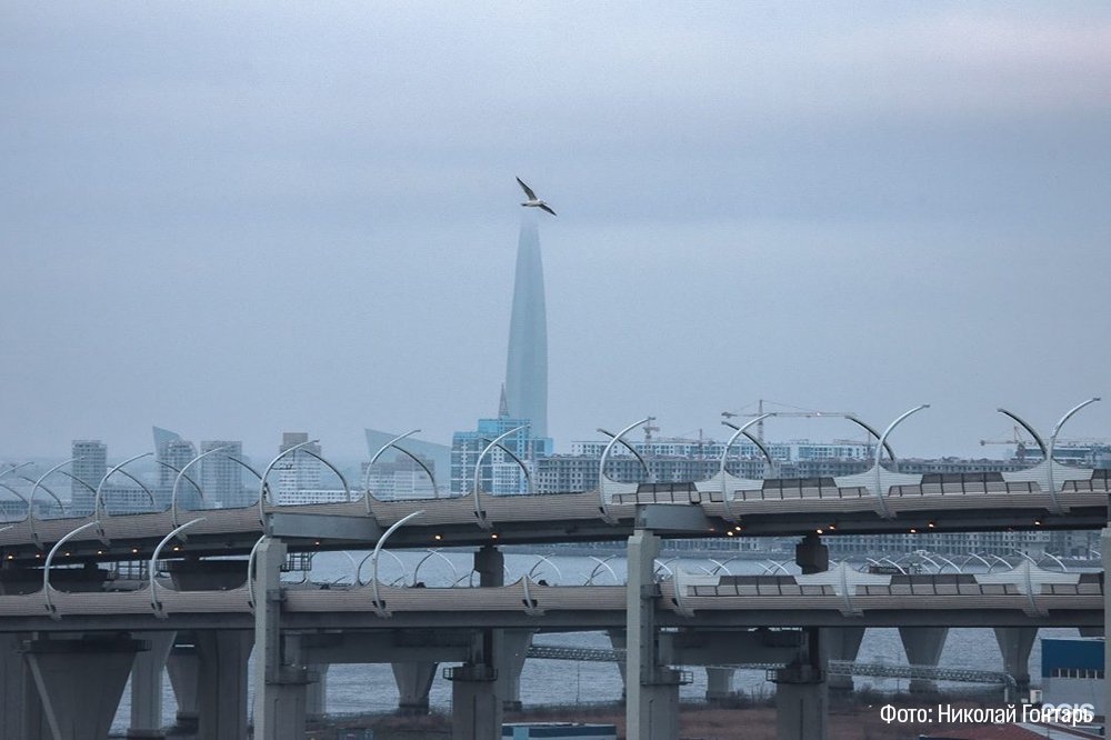 Зсд канонерский остров