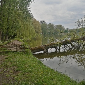 Фото от владельца Южный, ландшафтный парк