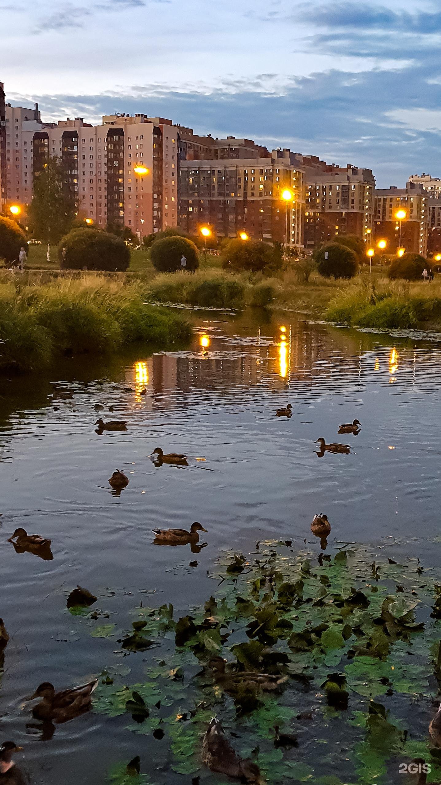 Оккервиль