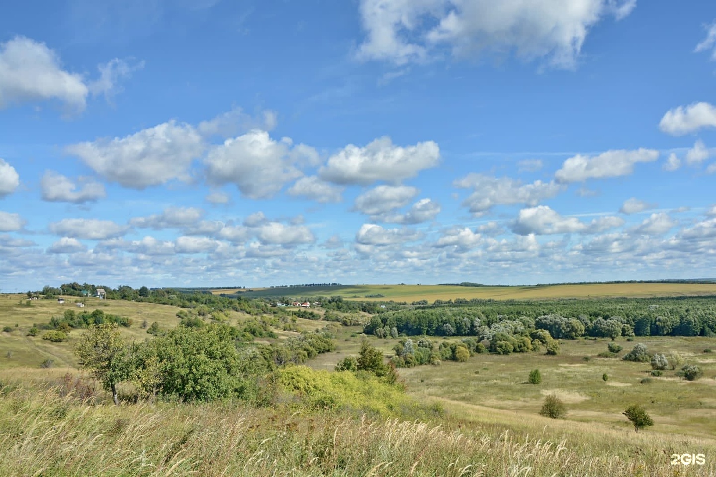 Курский р н